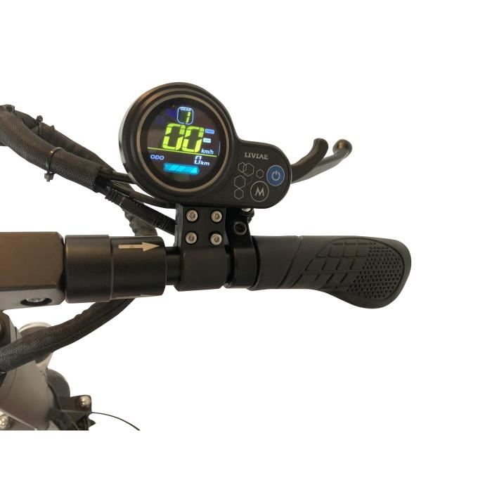 Trottinette électrique 48V 1000W 22AH