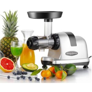 OMEGA Omega J8227S Entsafter - Grau